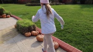 КАК БЕСПЛАТНО ПРОЙТИ В СОЧИ ПАРК? ● Отдых в Сочи в Олимпийском Парке