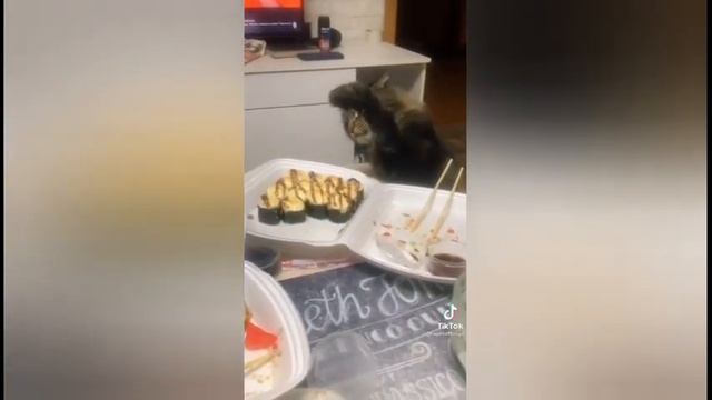 Какие Они ПРИКОЛЬНЫЕ Эти Животные! Подборка из Тик Тока! #1 смотреть онлайн