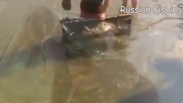 Большая подборка приколов на рыбалке 2017