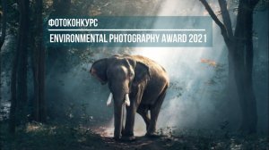 Фотоконкурс Environmental Photography Award 2021 / Deadline 2021.03.28