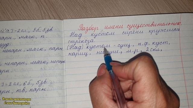 Морфологический разбор имени существительного
