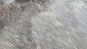 я взял колпак от фольксваген поло