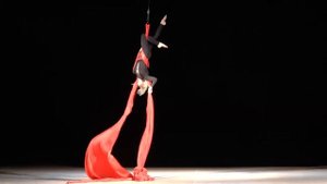 Феникс, воздушная гимнастика полотна.