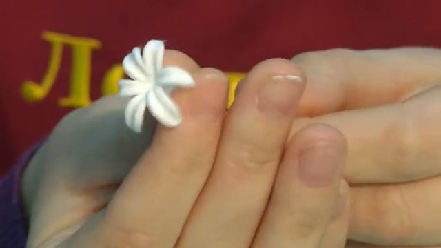 Цветы из полимерной глины - видео мастер-класс
