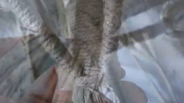 Дидух из колосков пшеницы-Didukh from wheat cones смотреть онлайн