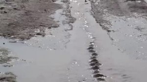 Игорь Растеряев  Весна оригинал видео