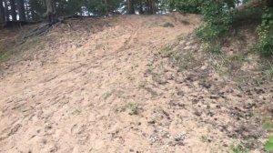 Кане Корсо О чем молчат питомники и заводчики