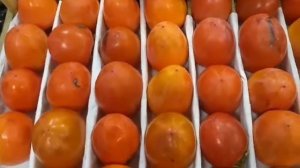 Как выбирать хурму чтобы не вязала