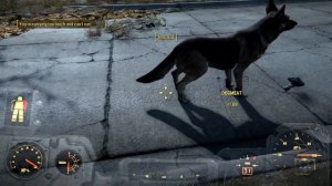 Fallout 4 Glitches - Item Dupe Glitch - Dupe Weapons, Stimpacks, Fusion Cores & MORE