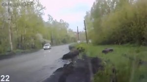 Дураки и дороги  Сборник безумных водителей #132