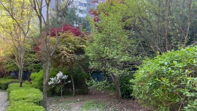 моя повседневная жизнь в Корее // 외국인 학생의 한국 대학 생활 смотреть онлайн