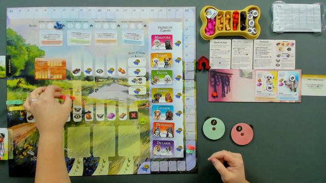 🐕Dog Park🐕 | APRENDE a Jugar смотреть онлайн