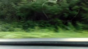 Песня позабудь об этом дне