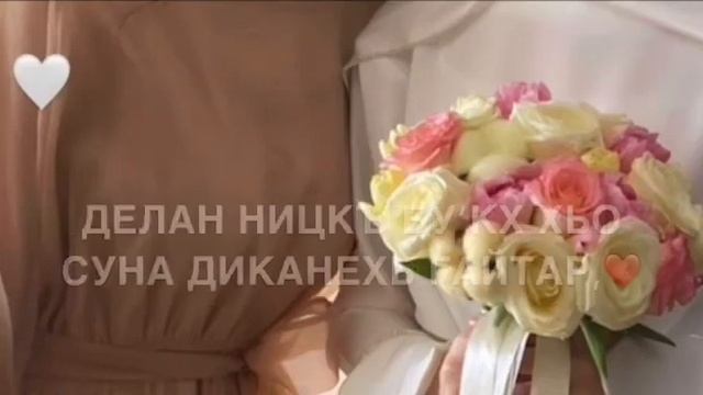 Йишина дешнаш (Дала декъала йойла хьо йиша) смотреть онлайн