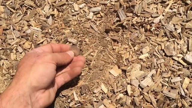 Minelab Go-Find 60 -Tot Lot & a Ring-Short Unboxing & Review of the Minelab Go-Find 60 смотреть онлайн