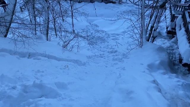 Металлокоп / Коп металлолома! Грандиозные планы! Гремячий ключ! смотреть онлайн