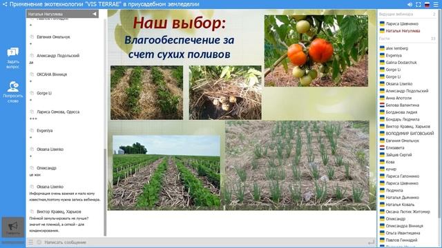 Применение экотехнологии "VIS  TERRAE" в приусадебном земледелии