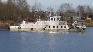 Иволга река Вытегра 25.10.2014