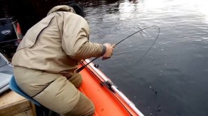 Сёмга на воблер