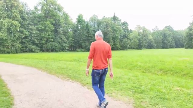 Онлайн-экскурсия по Петергофской дороге от Петергофа до Ораниенбаума
