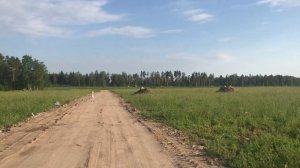 Купили участок в поле. Подмосковье. Делаем дачу с нуля. С чего начнем?