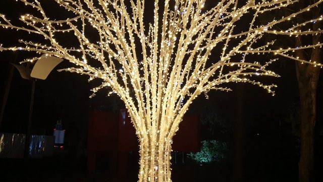 Сквер Кирова. Красота вокруг нас. Лазаревское Сочи. Погода 21 ноября 2022. Воздух +19°C, вода +17°C смотреть онлайн