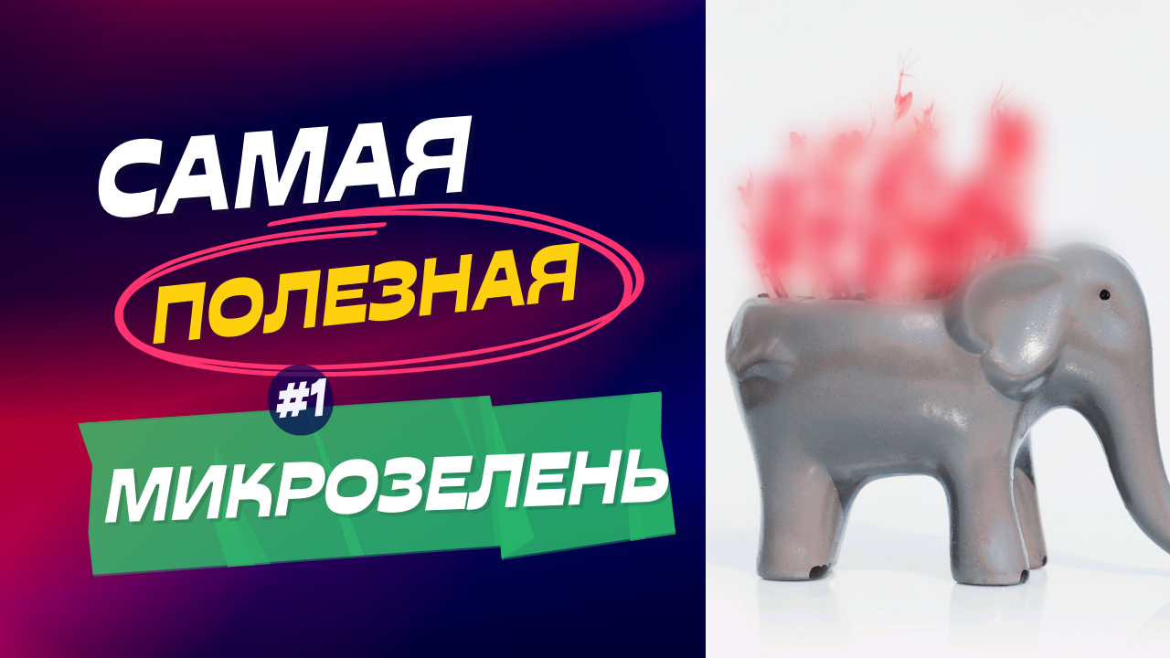 Микрозелень одна из самых полезных
