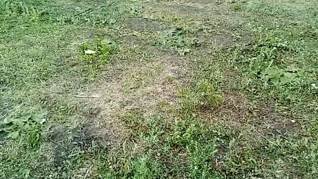 Ремонт и обслуживание пресс подборщика 0870