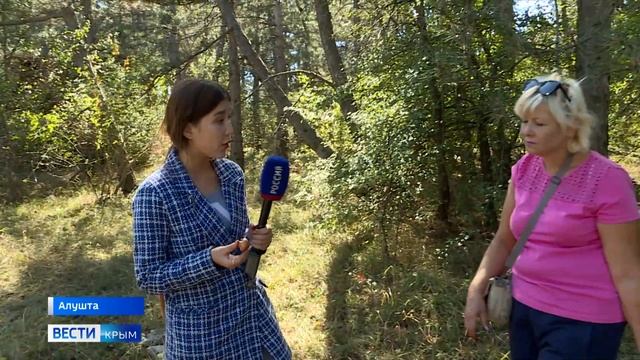 Сезон тихой охоты в Крыму: секреты грибников и опасные виды