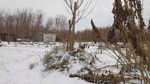 Посадка плодовых деревьев на холмы. Нюансы посадки на холм.
