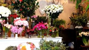 Цветочные магазинчики Парижа