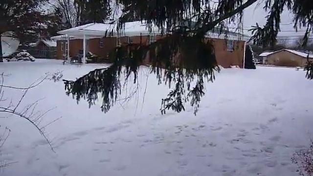 Backyard 360 panoramic view, January 2010 смотреть онлайн