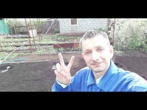 Новая шпалера на винограднике и новые кусты винограда