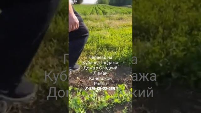 Агентство Недвижимости ст Каневская ул Таманская дом 124, 8-918-69-22-458