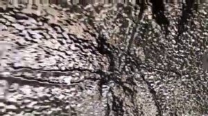 Колесные арки Toyota RAV 4 обрабатываем резинобитумным составом. Будет тихо