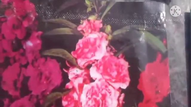 Which seeds you can grow In February || ep 185 смотреть онлайн