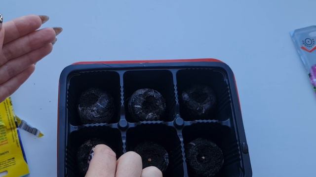 БЕЗ ЛИШНИХ ЗАМОРОЧЕК! ПРОСТОЙ способ ПОСЕВА ПЕТУНИИ и КАЛИБРАХОА! ВСХОДИТ ВСЕГДА, РАСТЁТ БЫСТРО! смотреть онлайн