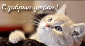 С Добрым Утром !!!?Пусть Доброты Прибавится на Свете! ?Море Счастья , Добра и Позитива !