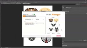 How to use Sawgrass Printer with Adobe Photoshop on a Windows Computer