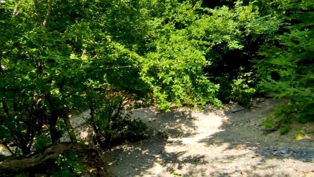 Морские Приключения | Архипо - Осиповка | 12.07.2021 смотреть онлайн