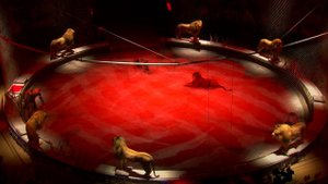 ИДОЛ 2014 № 10