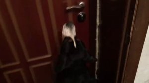 Понимает ли собака человеческую речь