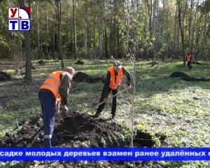 Озеленение парка