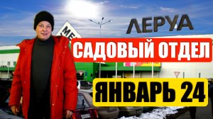 Январская вылазка в садово-семенной отдел Леруа-мерлен, что-то прикупил