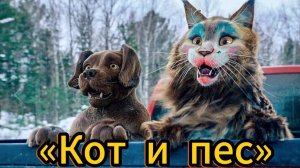 Кот и пес, комедия, приключения. НОВИНКА!