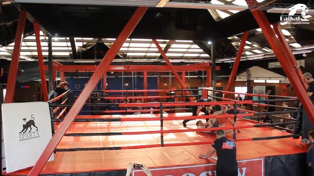 Бой 2 Владимир Чичков (Россия) VS (Россия) Николай Ловниканцев смотреть онлайн