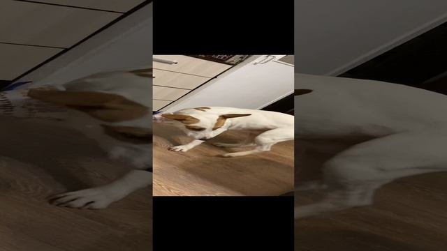 14-02-2023dgdhhdjdjjdnndbd fjjdjdhhdhdh djjdjjdjdjjdjd jdjdjjdjjdjd jdjjdjcjcjjdjdjd jdjdjjdjdjfjjfj