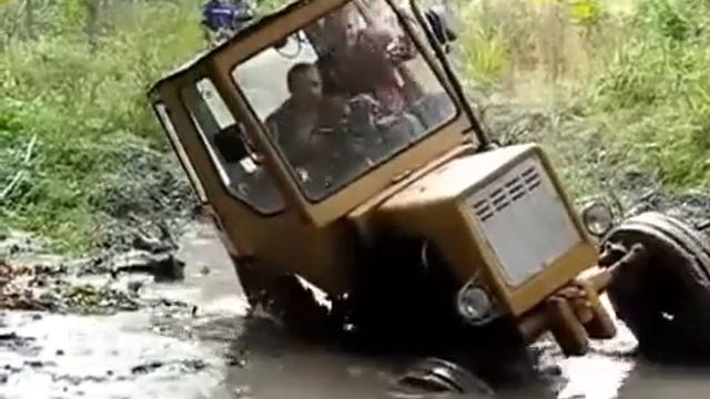 Смех до слез!) ЗВЕРЮГА ))