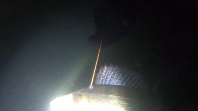 Подводная охота на щуку.Река Уфимка.Подводная охота в Башкирии.Павловское Вохранилище. смотреть онлайн