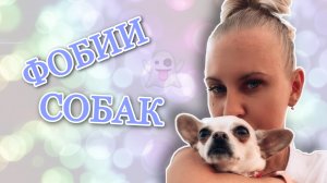 ЧЕГО БОЯТСЯ СОБАКИ